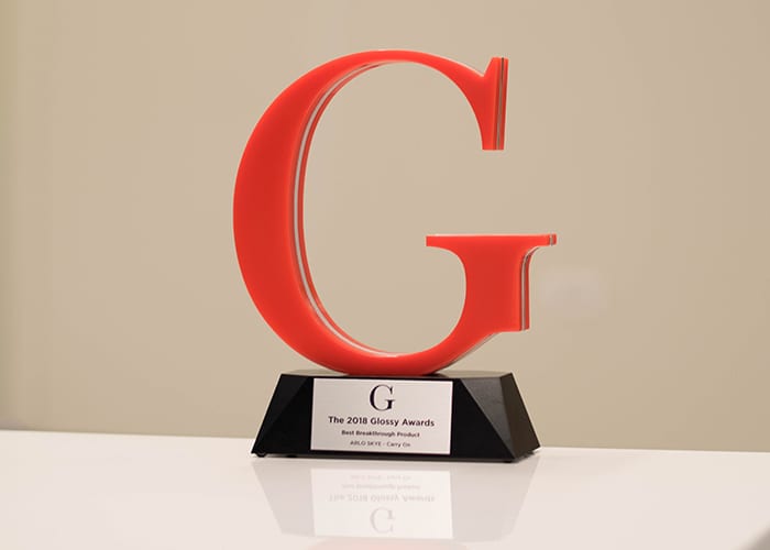 Acrylic And Metal Award Of Company Logo 002