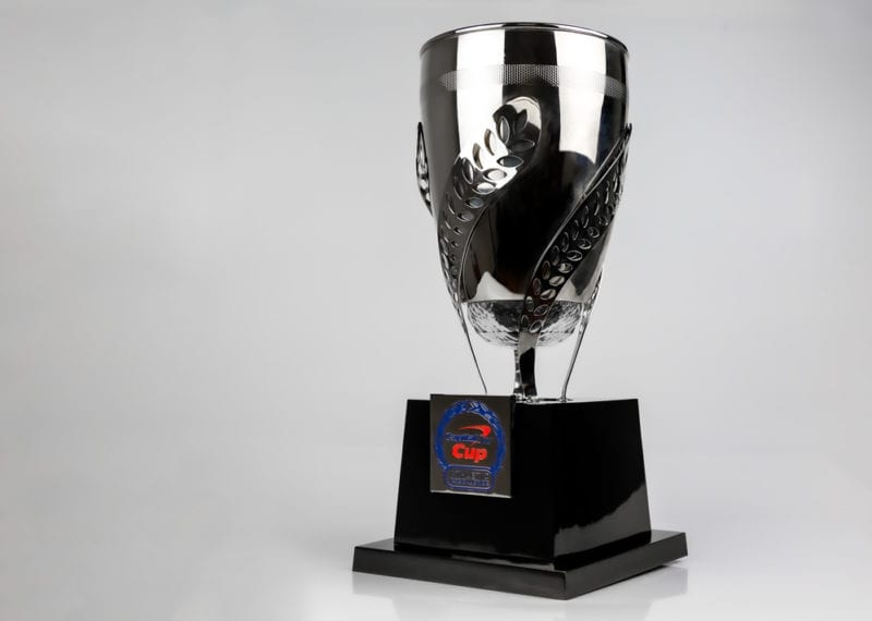 silver cup with ribbons around it and a base with personalized etched plate