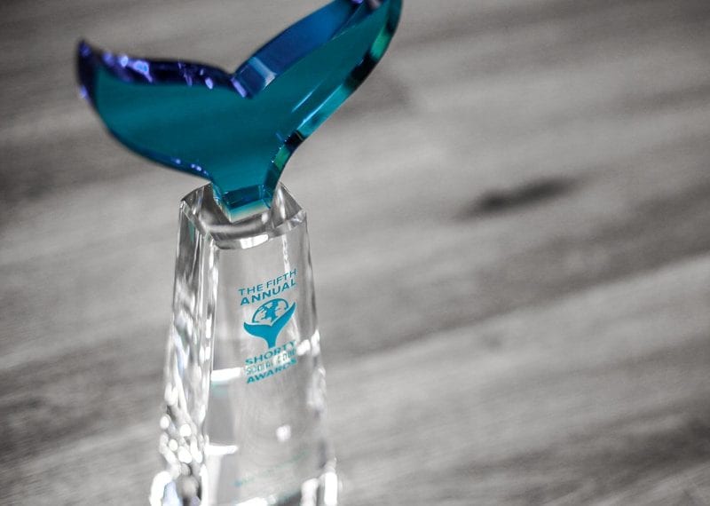 clear and blue crystal award statue whale tail engraved and colorfill statue