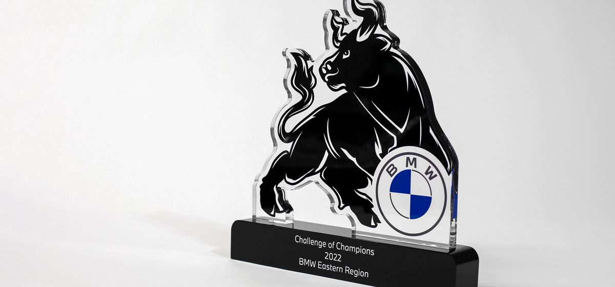 BMW Bull Awards