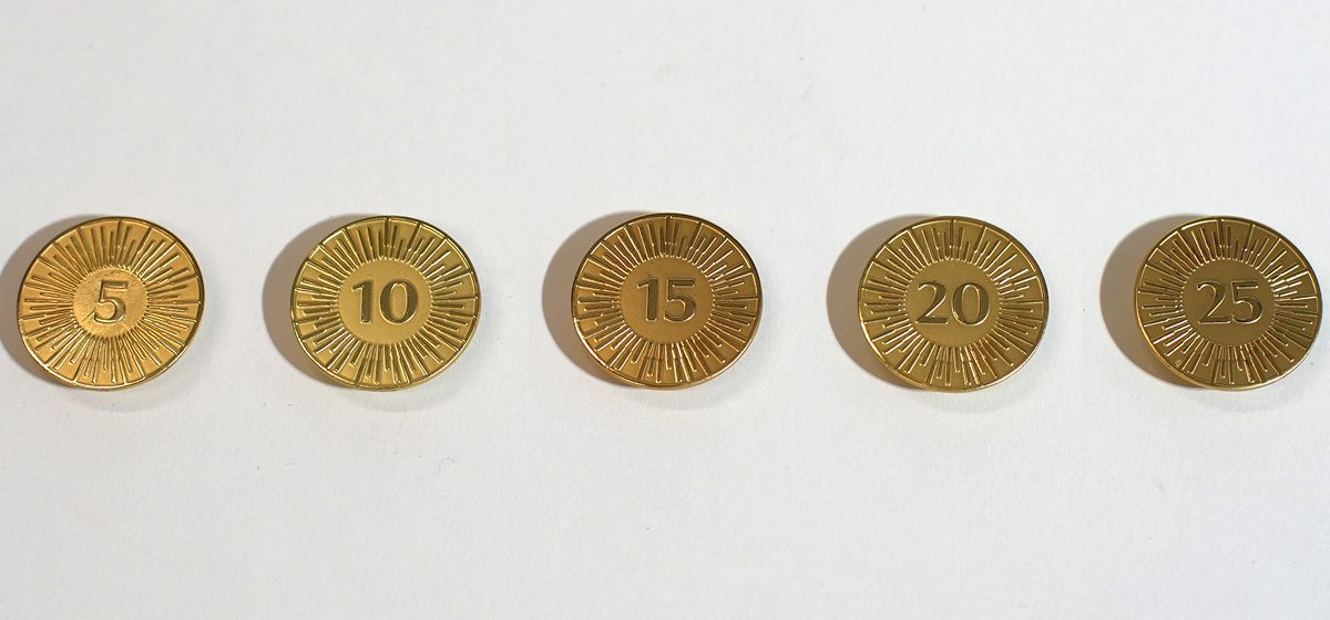 Viceroy Service Pins