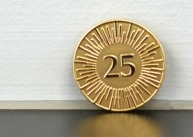 Viceroy Years Of Service Pins Gold Lapel 02