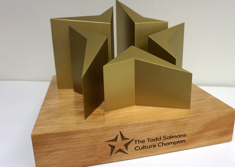 Todd Salmans Culture Champion Gold Star Award Wood Base 03